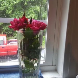 Meet your Posher, Katherine